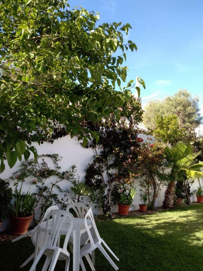 Villa Oliveira 阿尔布费拉 外观 照片